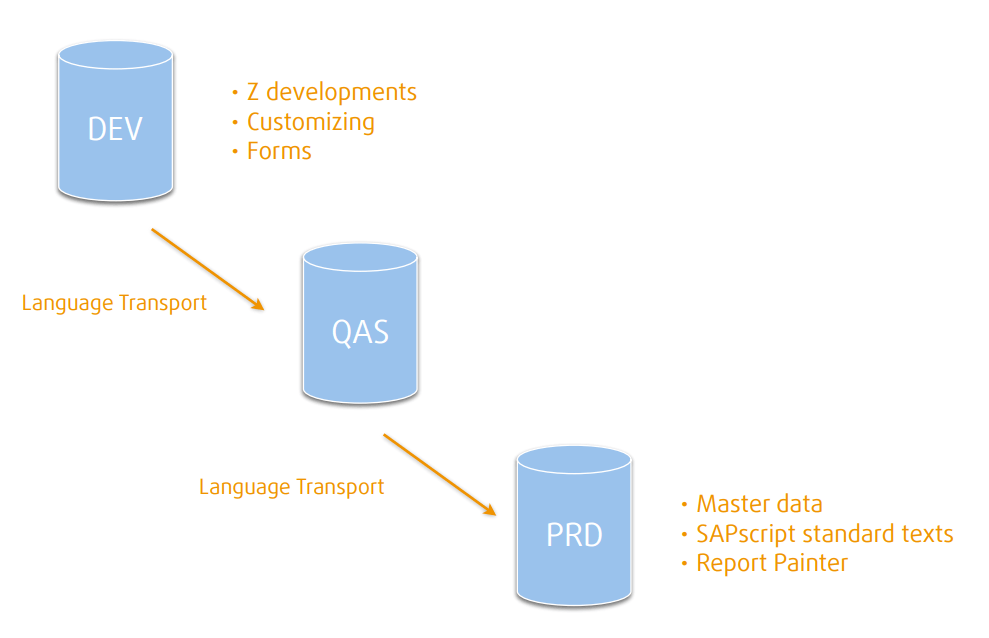 This is where the major types of texts are moste often translated SAP translation scoping